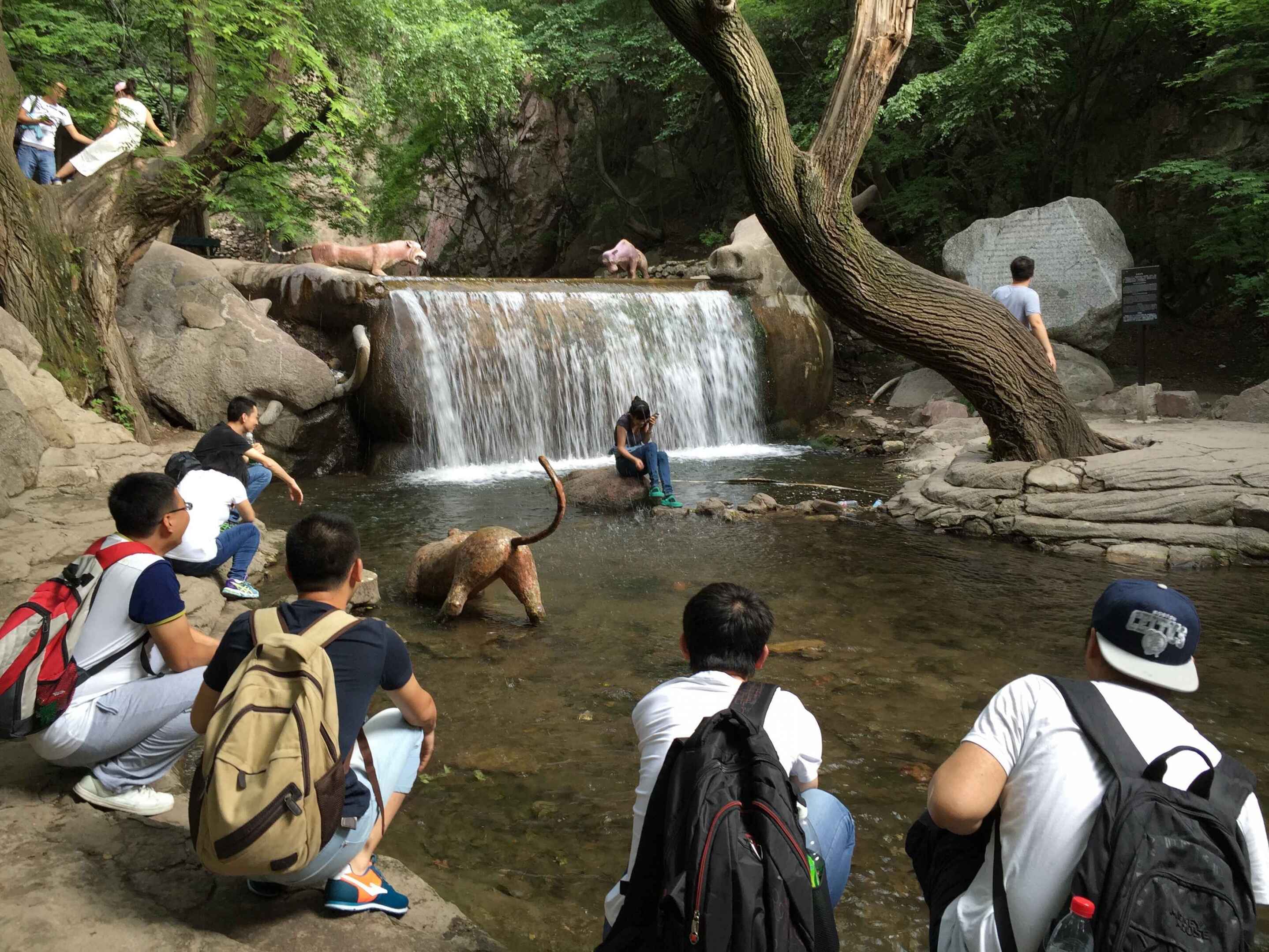 1733218163434.jpg 2015北方秋游1.jpg